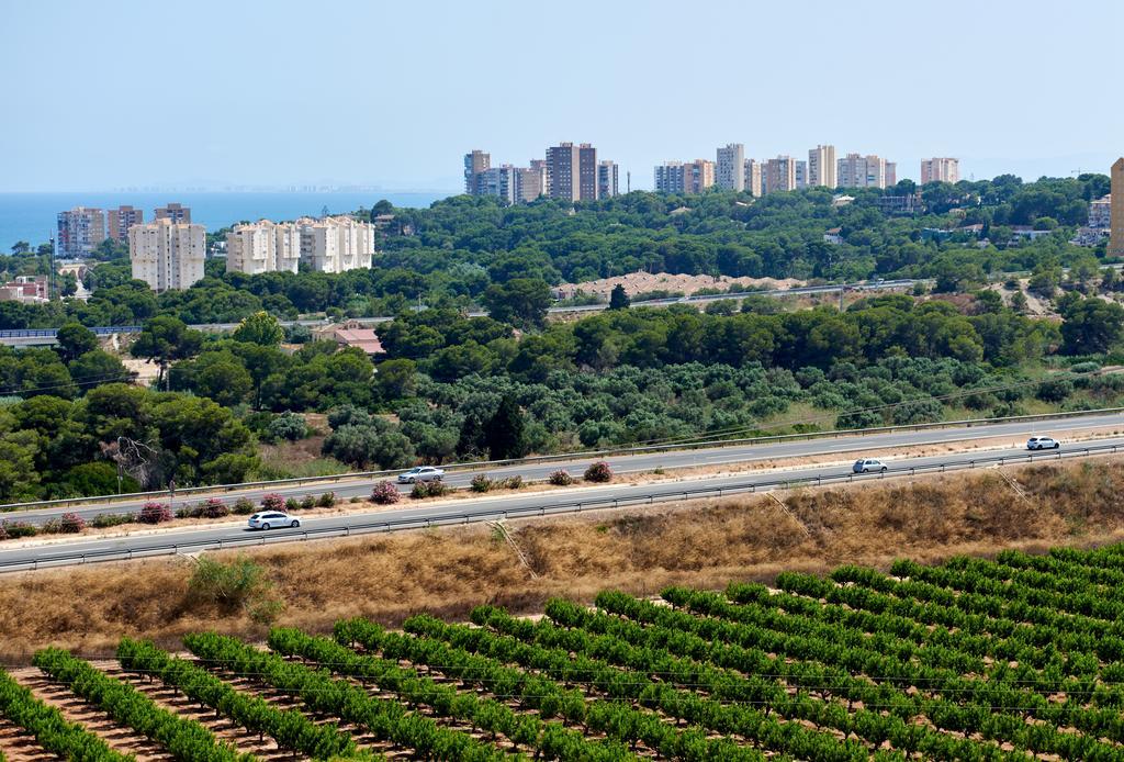 Residencial Cabo Azul Appartement Dehesa de Campoamor  Buitenkant foto